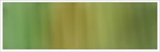 Slate green & Biscuit 17 - 4 mm/3 m Sidenband