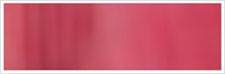 Watermelon 39 - 13 mm/1 m - Sidenband