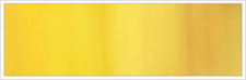 Old Gold 99 - 13 mm/1 m - Sidenband