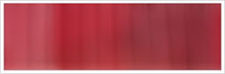 Post Box Red 116 - 6 mm/3 m Organzaband