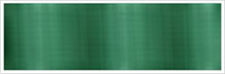 Evergreen 130 - 6 mm/3 m Organzaband