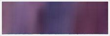 Lilac Dazzle 73 - 32 mm/1 m Sidenband