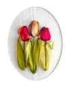 Miniprojekt - Tulpan Freesia